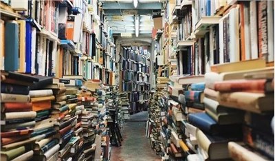 四大主流分级阅读体系——重点讲解A-Z分级中的RAZ分级