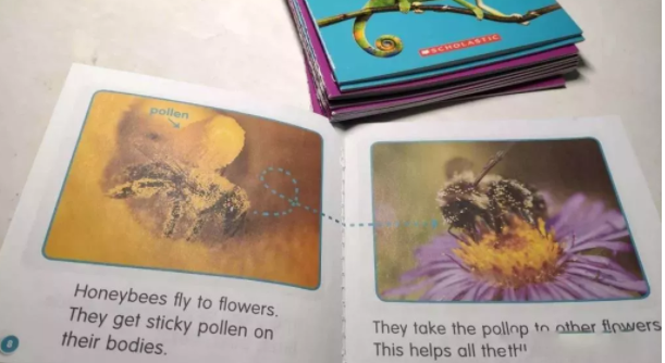 不同年龄段如何做英语分级阅读?这份操作指南请收好,让孩子少走弯路! 不同年龄段如何做英语分级阅读?这份操作指南请收好,让孩子少走弯路!
